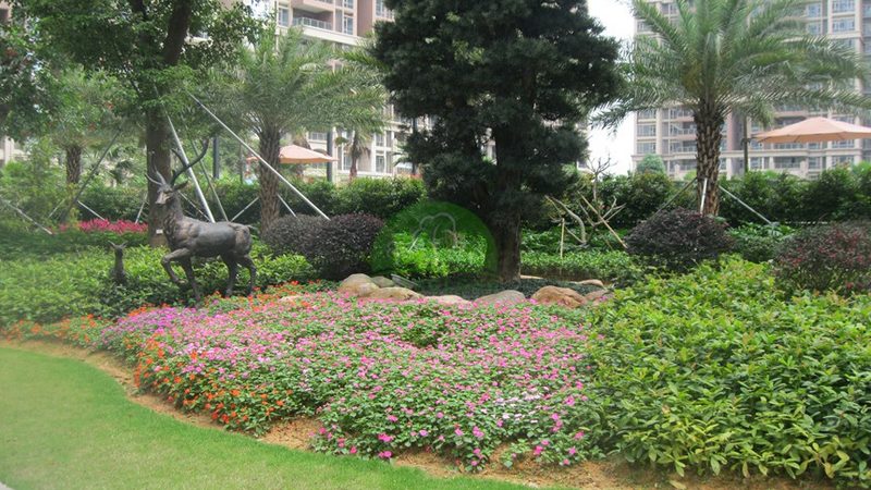 花卉租摆代理：如何搭建高效的合作模式**