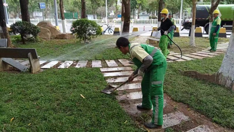 上海苗木定制种植方案：打造城市绿肺的精准之道**