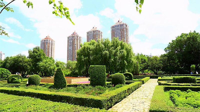 校园园林绿化工程招标：关键要素与注意事项**