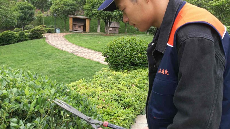 小庭院设计施工：价格背后的考量因素**