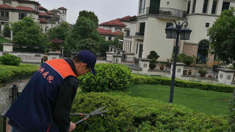 屋顶草坪防水层规范图集：关键要素与施工要点**