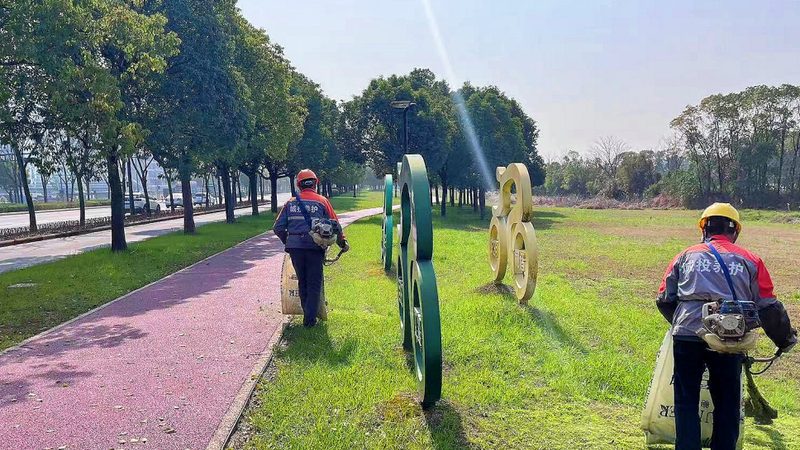 花境色彩搭配：同色系运用技巧解析