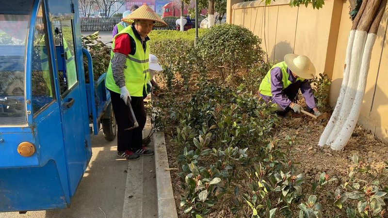 园林工程报价流程全解析：步骤详解与关键要点**
