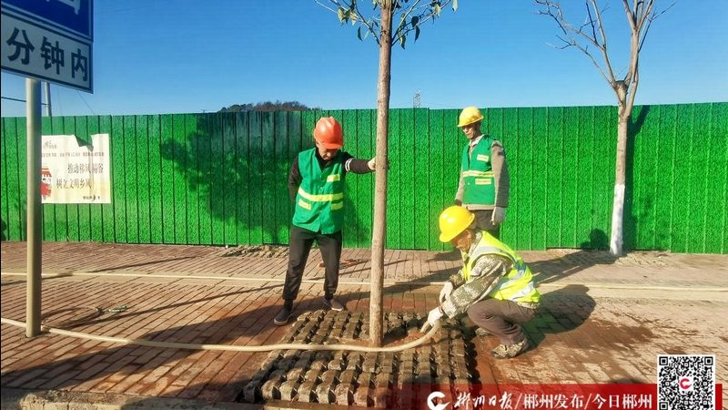 苏州现代庭院设计公司，如何挑选性价比之选？**