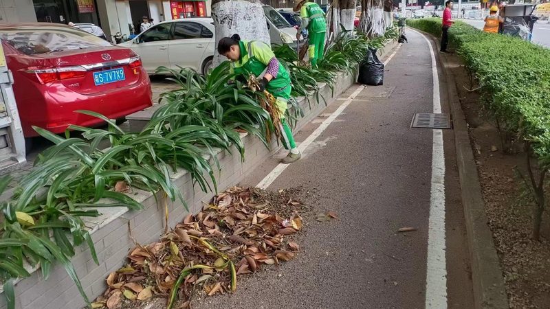 垂直绿化加盟厂家有哪些