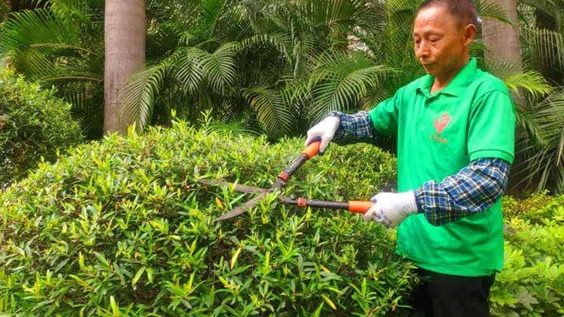 市政太阳能路灯安装施工流程全解析