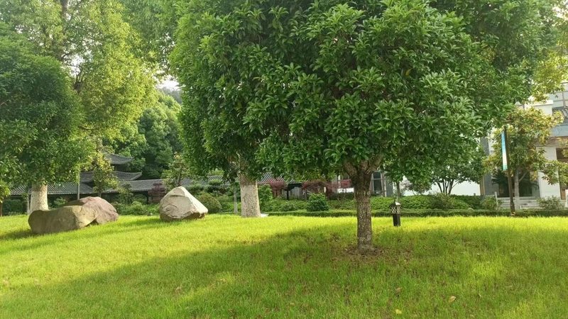 客土喷播与挂网喷播：两种技术的应用与区别