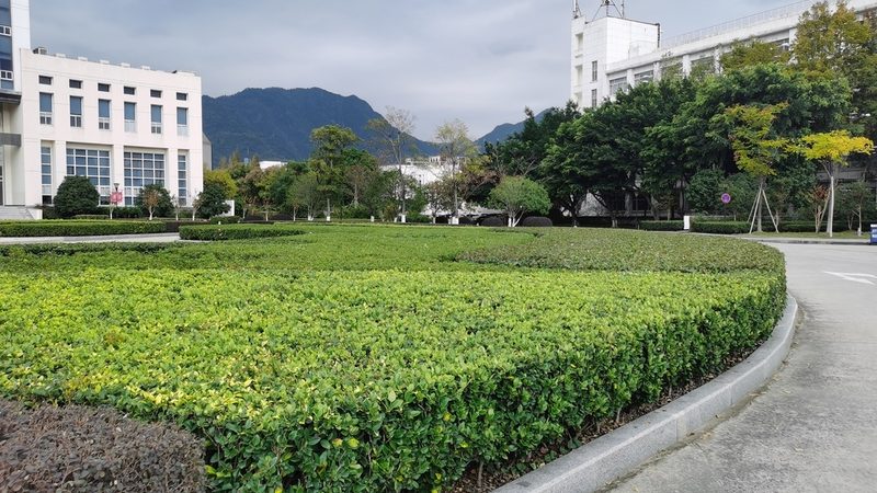 庭院木围栏选材，耐用性是关键
