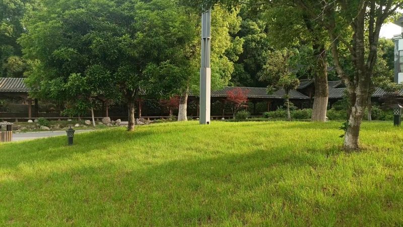 成都开业庆典绿植租赁：如何打造绿色氛围**